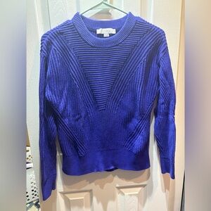 Loft Royal Purple sweater